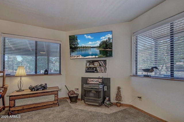 miscellaneous room featuring a wood stove and carpet flooring