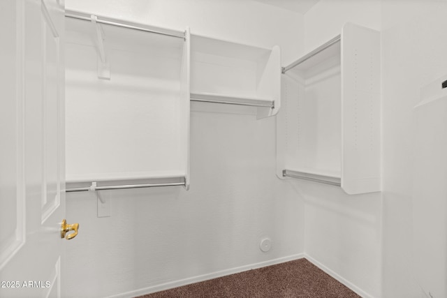 spacious closet featuring carpet floors