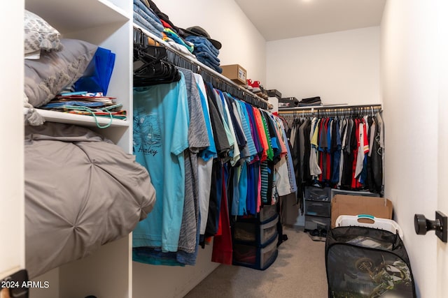 walk in closet with carpet flooring