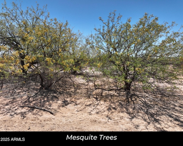 123 W Aries Dr -, Unit Eloy, AZ 85131