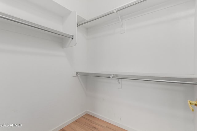 8256 W Bloomfield Rd, Peoria, AZ 85381 - walk in closet with light wood-style flooring