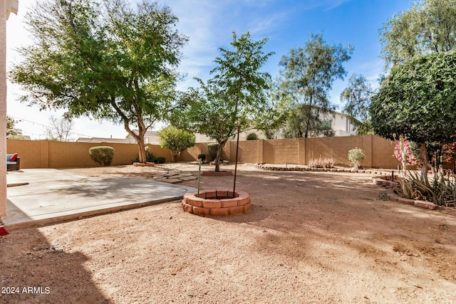 view of yard featuring a patio area