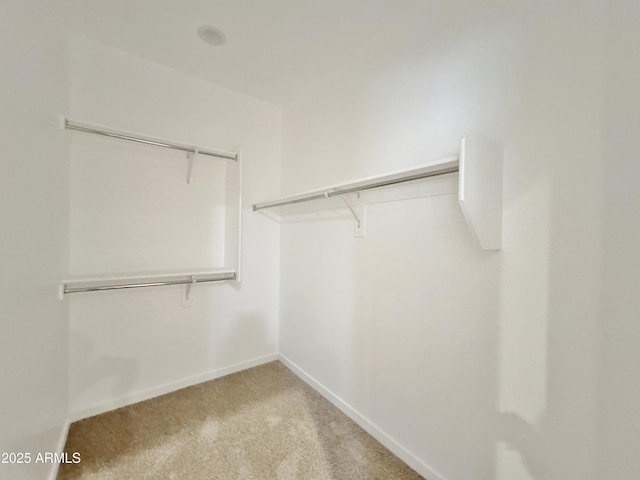 15422 S Sequoia Cir, Arizona City, AZ 85123 - spacious closet with light carpet