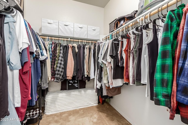 view of spacious closet