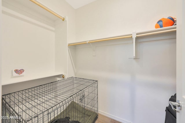 29339 N 135th Dr, Peoria, AZ 85383 - walk in closet featuring wood finished floors