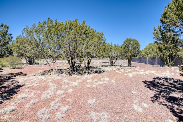 8455 Ridge Dr, Show Low, AZ 85901 - view of yard