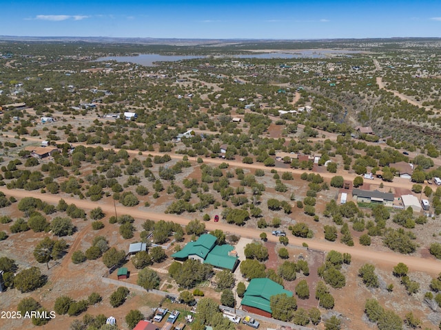 8455 Ridge Dr, Show Low, AZ 85901 - aerial view of property's location with a large body of water