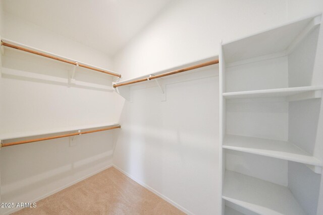 2627 E Gary Way, Phoenix, AZ 85042 - walk in closet with light carpet