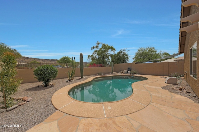 2627 E Gary Way, Phoenix, AZ 85042 - view of swimming pool featuring a fenced backyard and a patio area