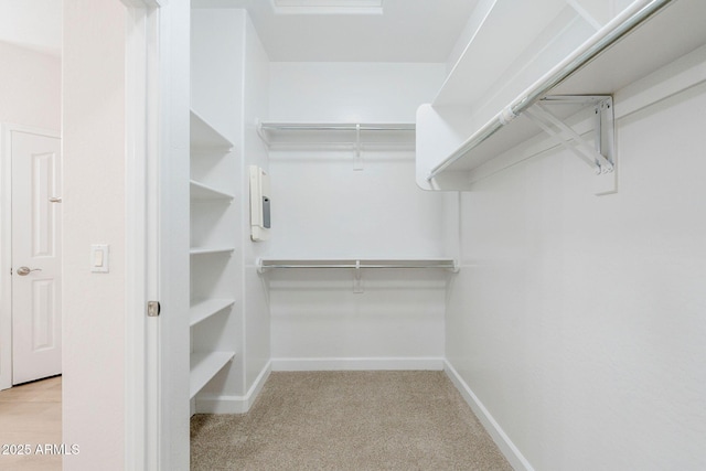 4389 E Muirfield St, Gilbert, AZ 85298 - spacious closet with carpet flooring