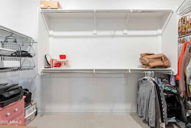 walk in closet with light carpet