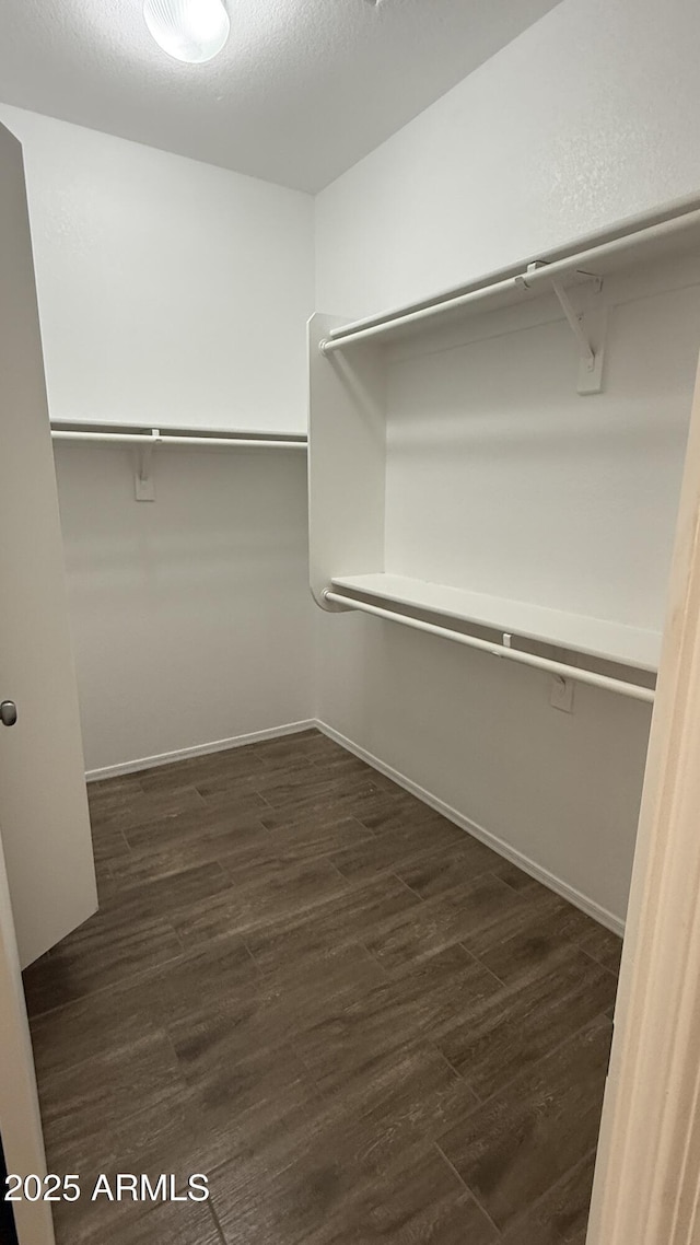 12505 W Adams St, Avondale, AZ 85323 - walk in closet featuring dark wood-style floors