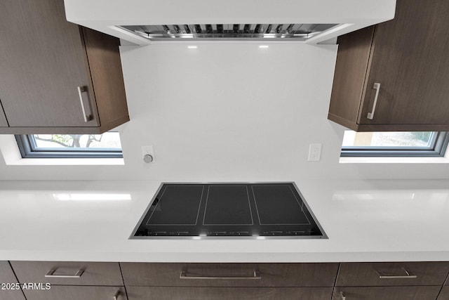 kitchen with dark brown cabinetry, ventilation hood, and stovetop