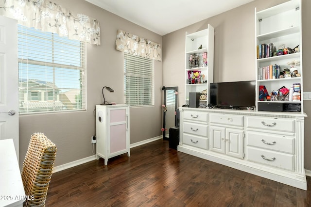 bedroom featuring dark wood-style flooring, baseboards, and multiple windows