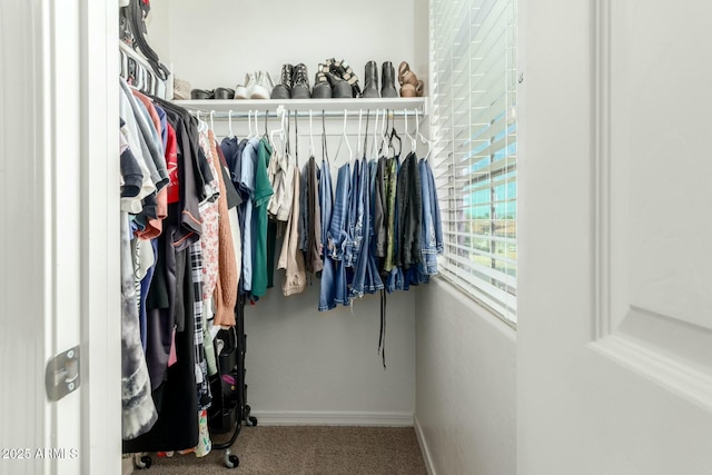 spacious closet featuring carpet