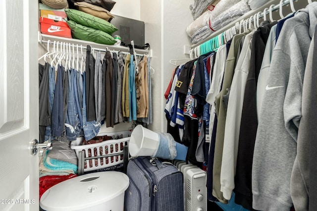 view of spacious closet