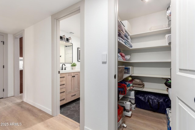 pantry featuring a sink