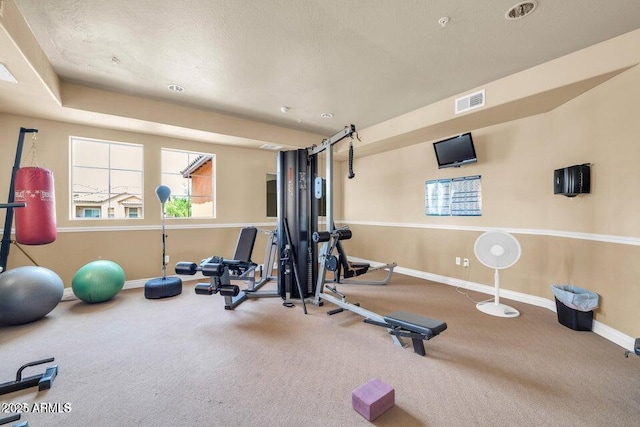 exercise area featuring a healthy amount of sunlight, baseboards, and carpet flooring