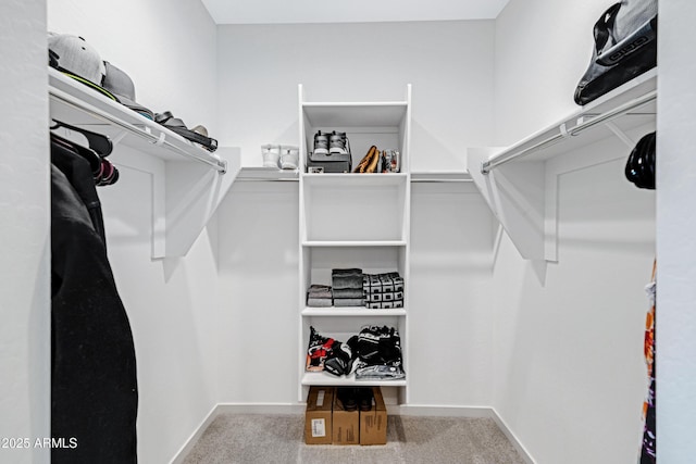 walk in closet with carpet flooring