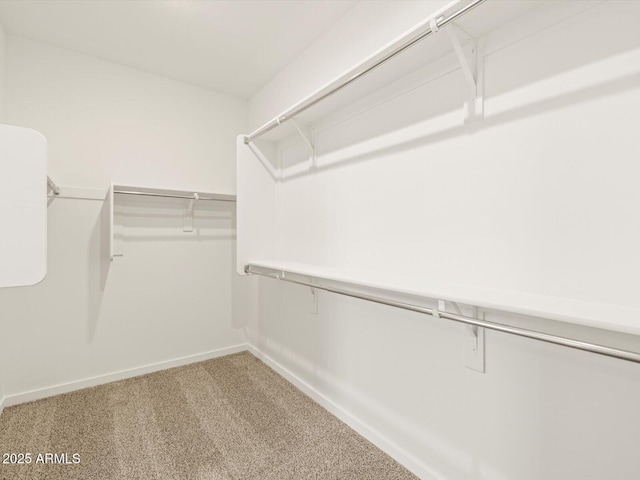 17703 W Southgate Ave, Goodyear, AZ 85338 - walk in closet with carpet