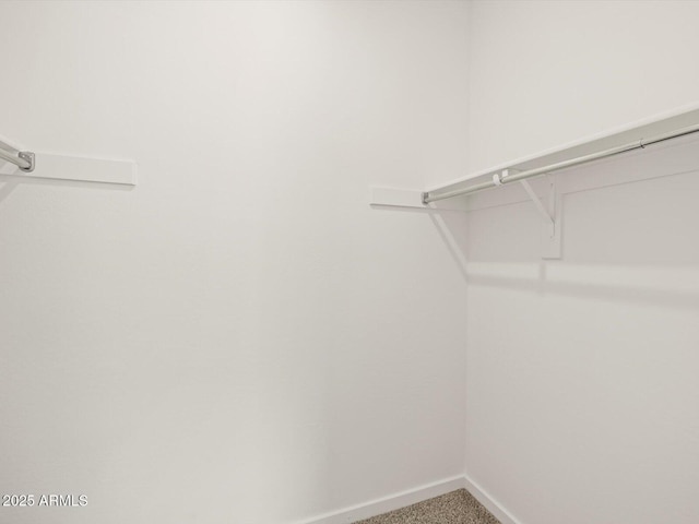 17703 W Southgate Ave, Goodyear, AZ 85338 - walk in closet with carpet floors
