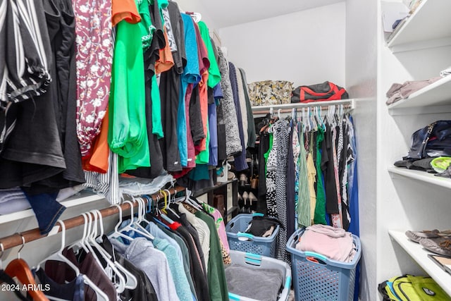 view of spacious closet