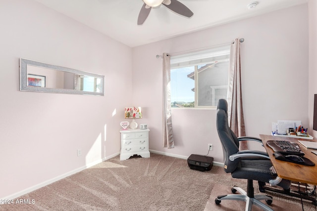 office space featuring carpet and ceiling fan