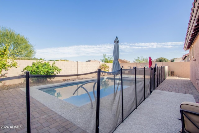 view of pool with a patio