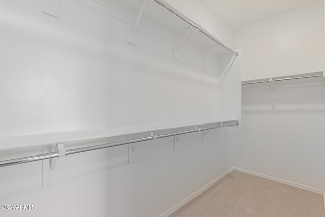 spacious closet with light colored carpet