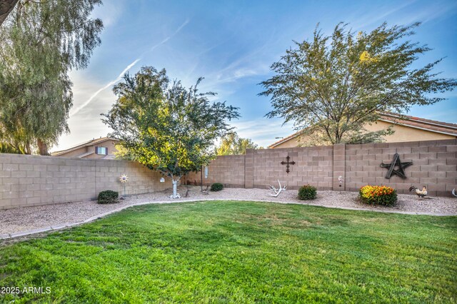 21604 E Calle De Flores, Queen Creek, AZ 85142 - view of yard featuring a fenced backyard