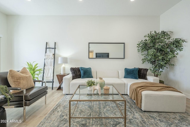 living room featuring wood-type flooring