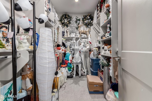 spacious closet with carpet