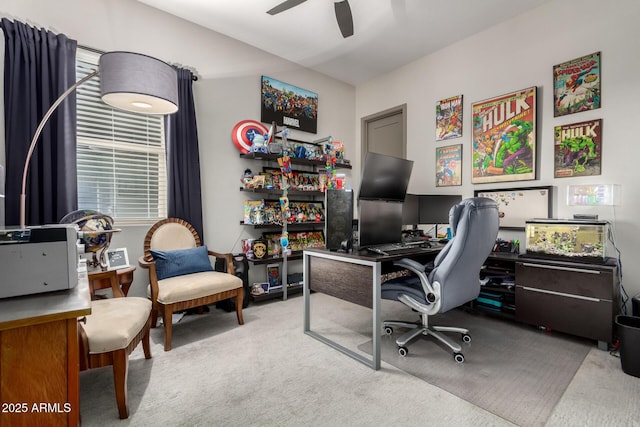 office space featuring carpet and a ceiling fan