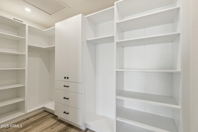 walk in closet featuring wood-type flooring