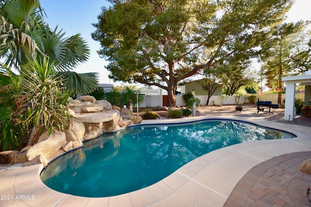 view of swimming pool with a patio area