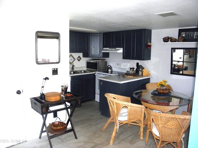 kitchen with electric stove and sink