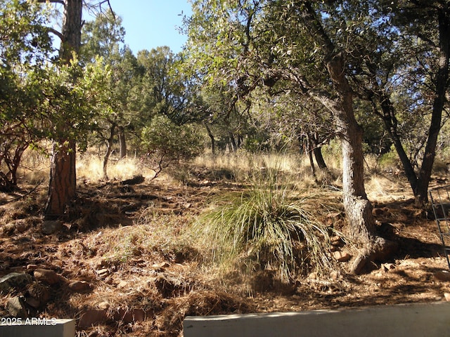 view of local wilderness