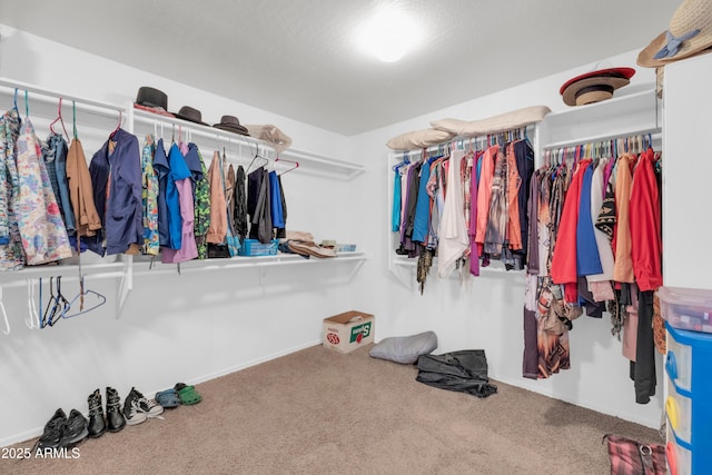 walk in closet featuring carpet flooring