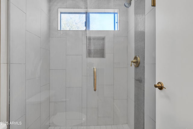 full bathroom with a shower stall