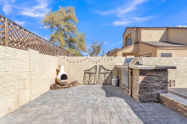 view of patio / terrace featuring a fenced backyard, grilling area, and area for grilling