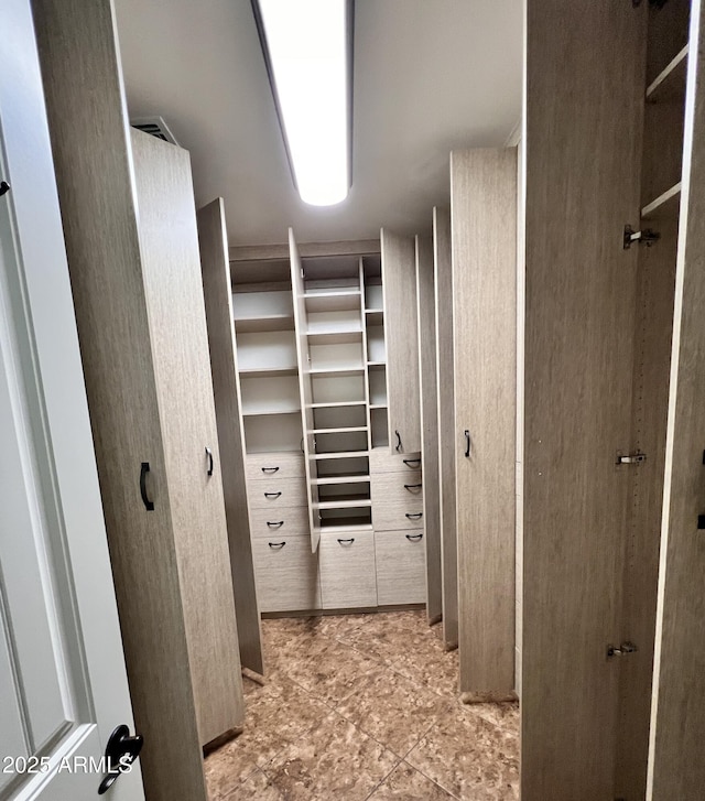 view of spacious closet