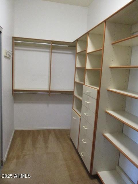32020 N 23rd Ave, Phoenix, AZ 85085 - walk in closet featuring carpet flooring
