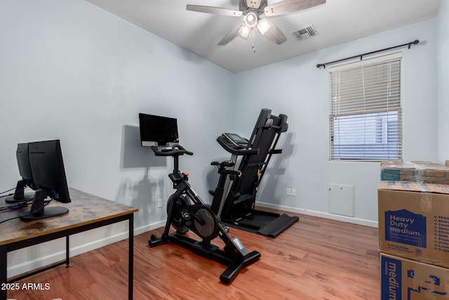 workout room featuring ceiling fan and light hardwood / wood-style floors