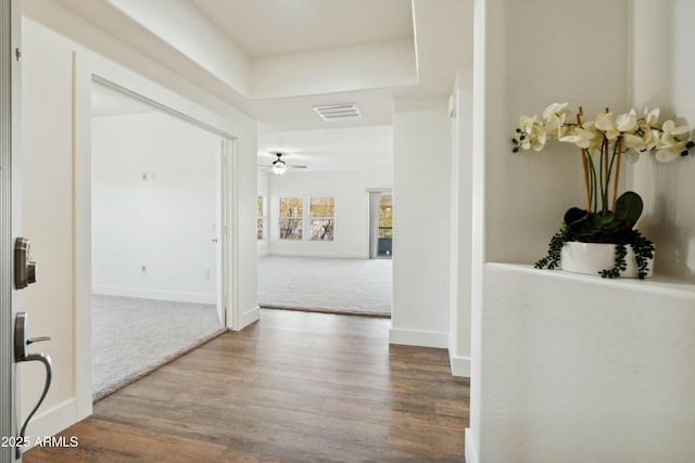 corridor with carpet, visible vents, baseboards, and wood finished floors