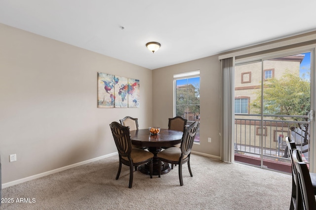 dining room with carpet