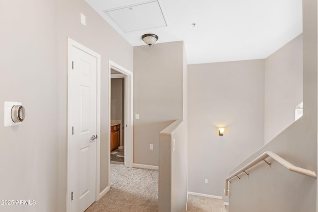 stairs featuring carpet flooring