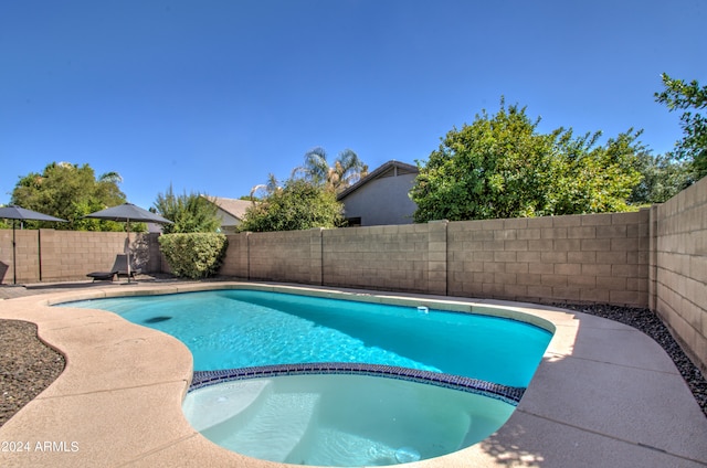 view of pool with a patio area