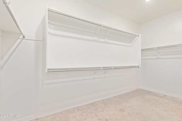 spacious closet featuring carpet floors