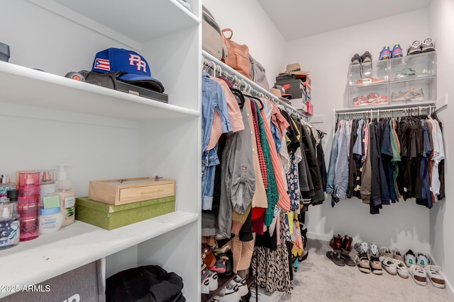 spacious closet with carpet