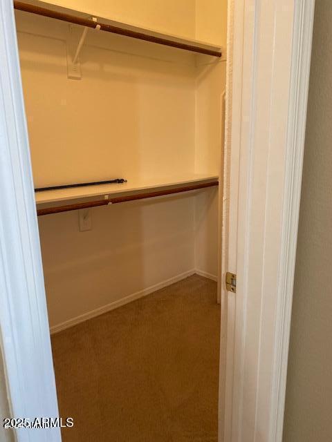 walk in closet with carpet floors